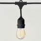 Ambience Pro LED Plug-in String Lights