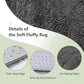 5 x 7 Feet Modern Rectangular Soft Shag Area Rug for Living Room Bedroom