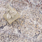 Olive Holi-2304 Washable Area Rug