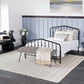 Carolina Wool Area Rug