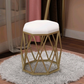Nordic Luxury Leisure Dining Chair for Modern Homes