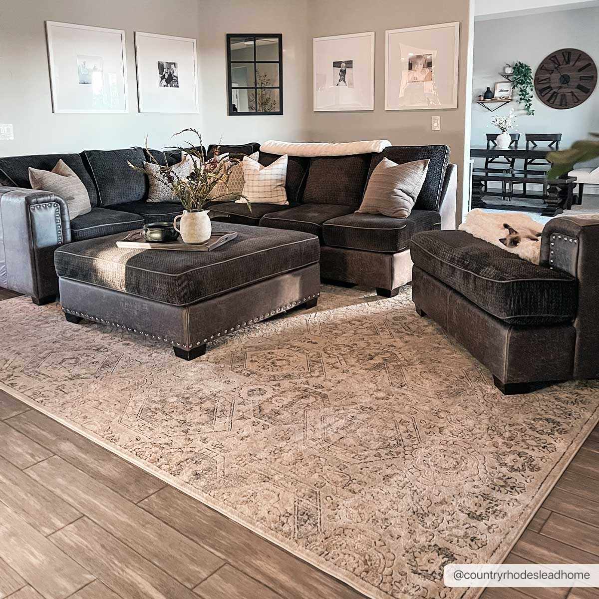 Parkerfield Area Rug Soft Modern Floor Carpet Home Decor Accent