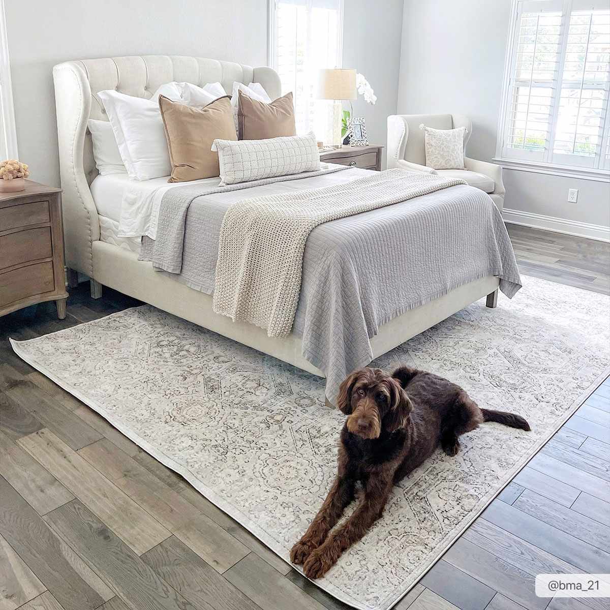 Parkerfield Area Rug Soft Modern Floor Carpet Home Decor Accent