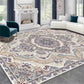 Persian Style Washable Large Area Rug Carpet