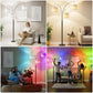 Dimmable Three-Head Floor Lamp with Color Temperature Control