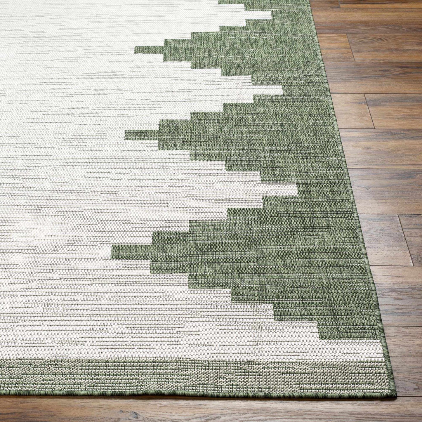 Green Indoor Outdoor Rug for Home Spaces