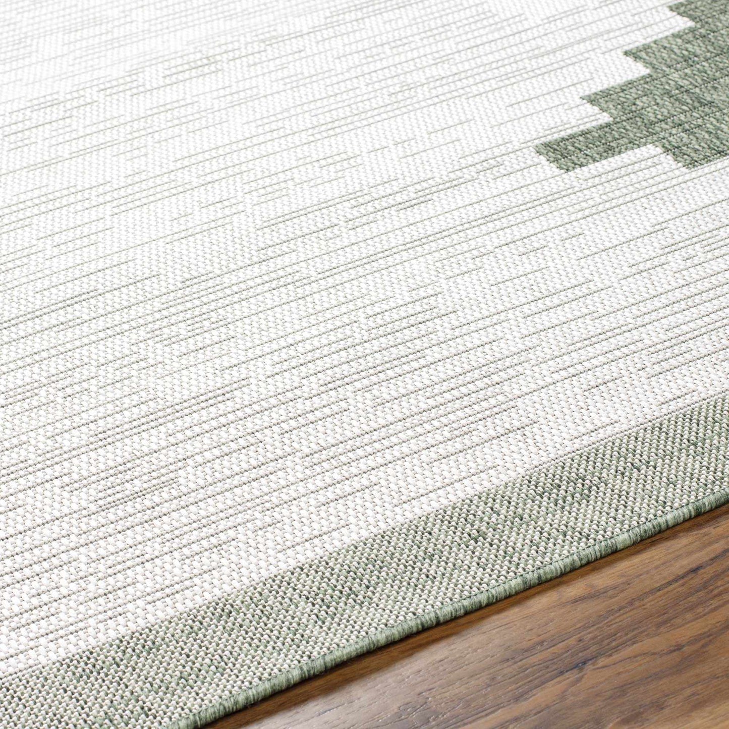 Green Indoor Outdoor Rug for Home Spaces