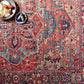 Neyland Area Rug