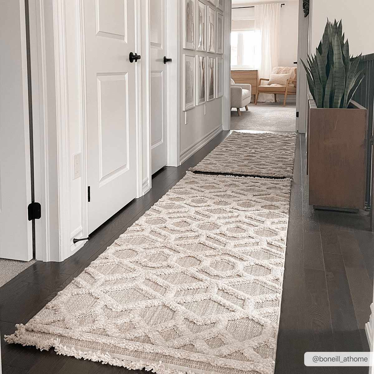 Malilinao Area Rug for Stylish Home Interior Decor
